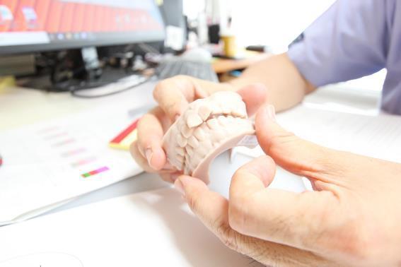 合成樹脂(プラスチック)製の模型